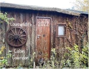 Louiswildlife 2022 Cabin Wall Calendar