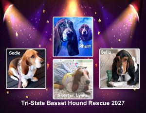 Basset Hound Calendar