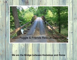 2023 Puggle & Friends Rescue Calendar