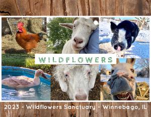 2023 Wildflowers Farm Animal Sanctuary Calendar
