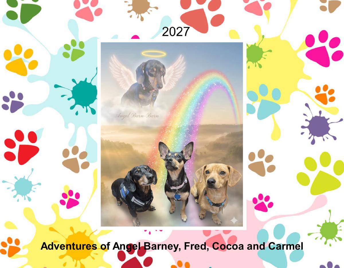 Many Adventures of Angel Barney Fred CP CBB