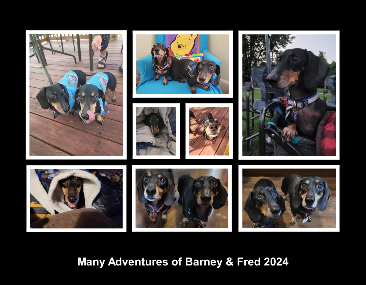 Many Adventures of Barney and Fred
