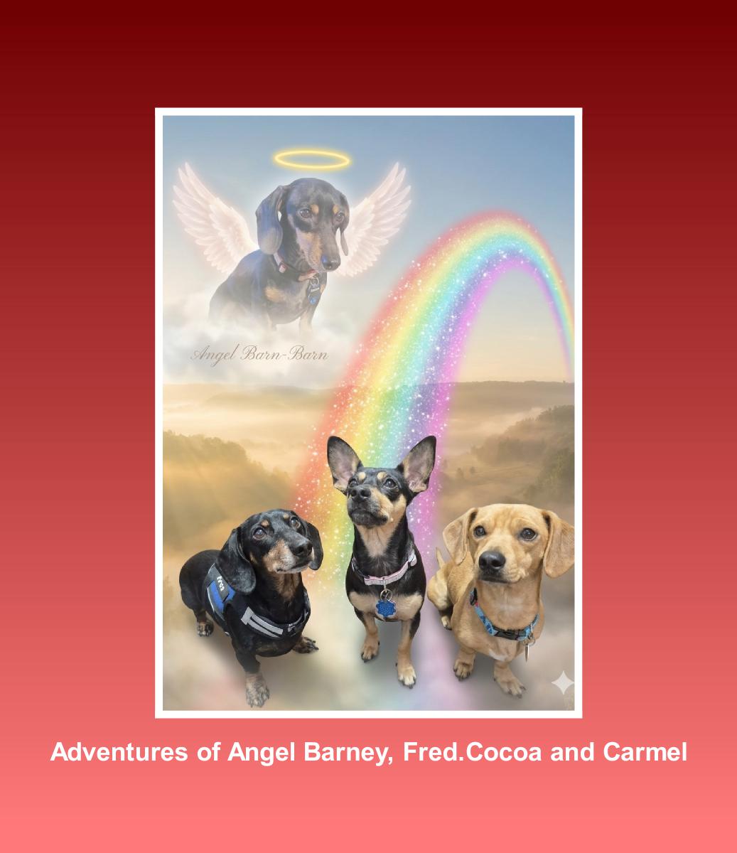 ANGEL BARNEY FRED CP CBB
