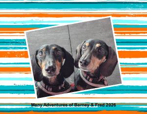 Many Adventures of Barney and Fred