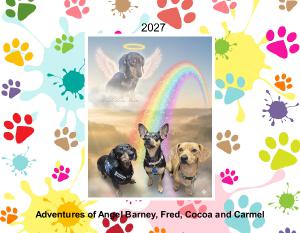 Many Adventures of Angel Barney Fred CP CBB