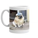 Cant Sits