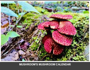 Mushroom's Mushroom Calendar