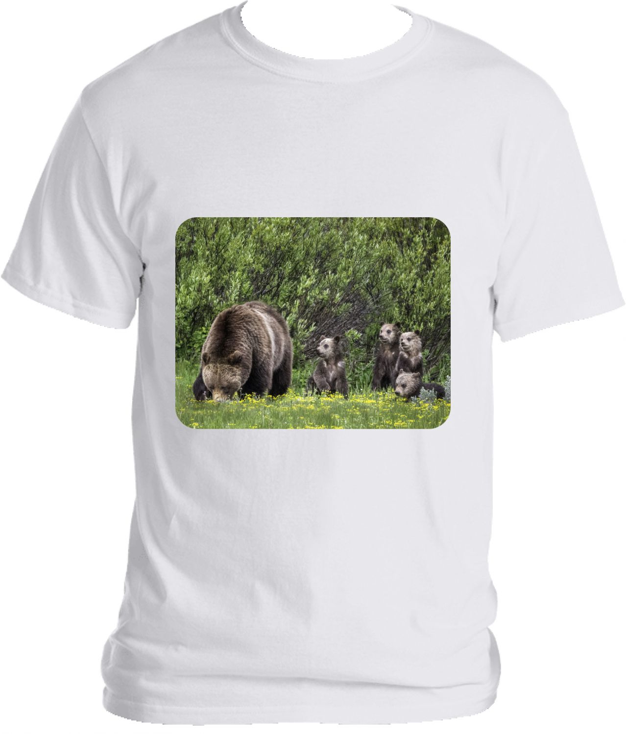 Grizzly 399 and Quad cubs T Shirt