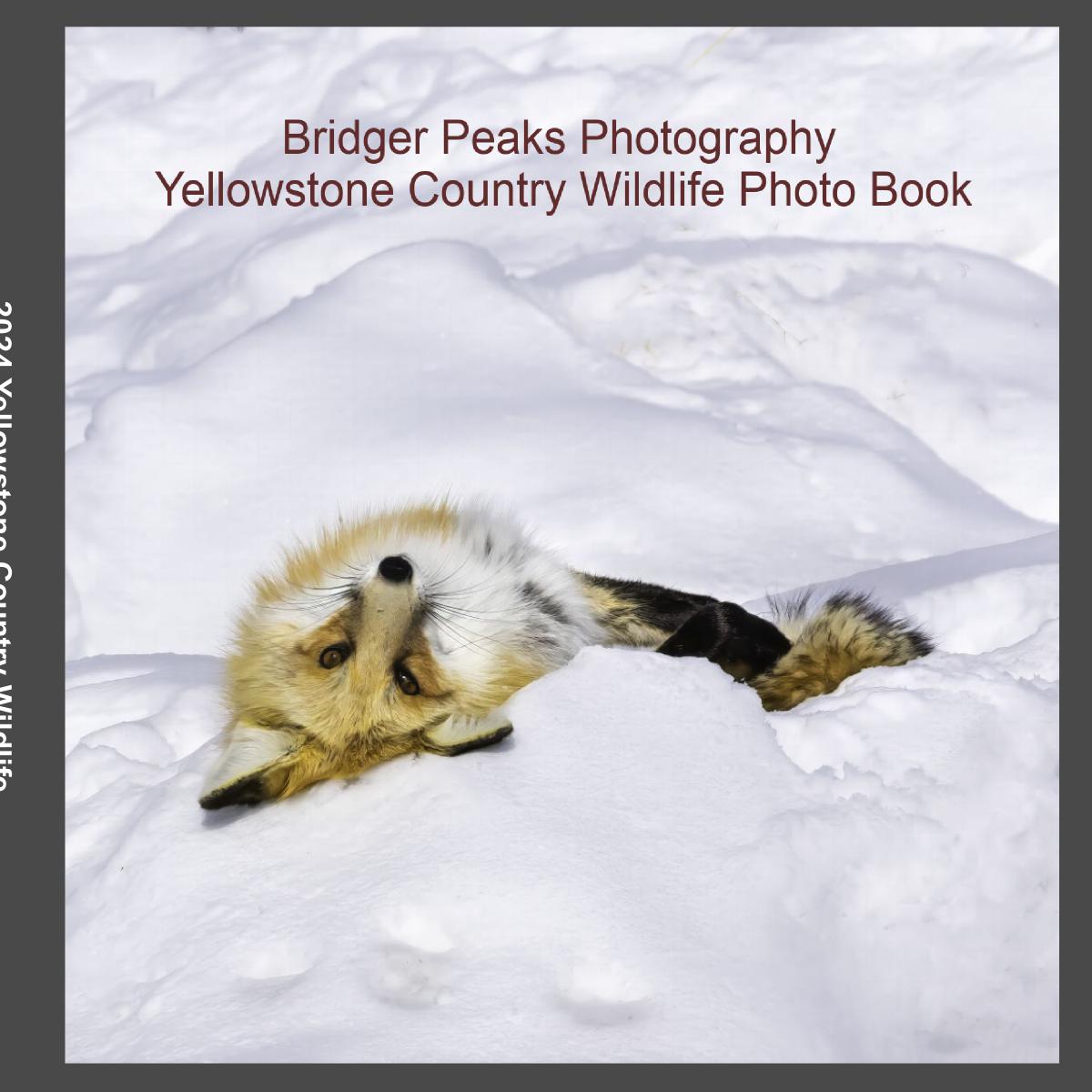 2024 Yellowstone Country Wildlife Photo Book