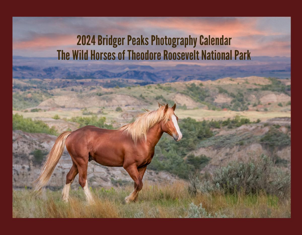 2023 Wild Horses Of The North Dakota Badlands Calendar | Create Photo  Calendars