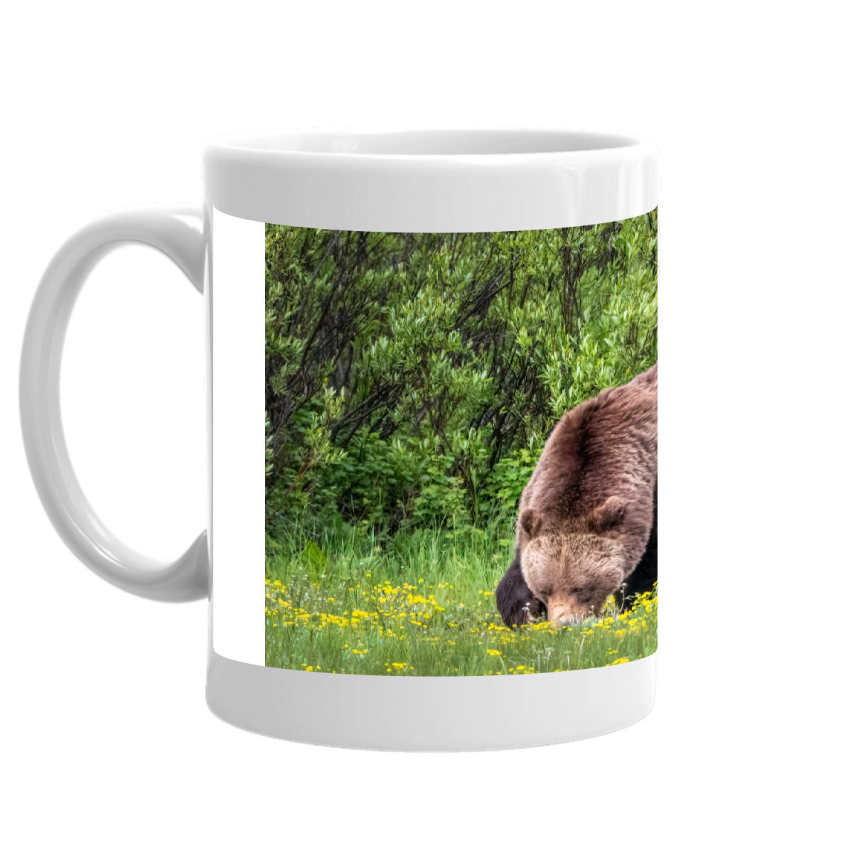 Grizzly Sow 399 and Quad Cubs Coffee Mug