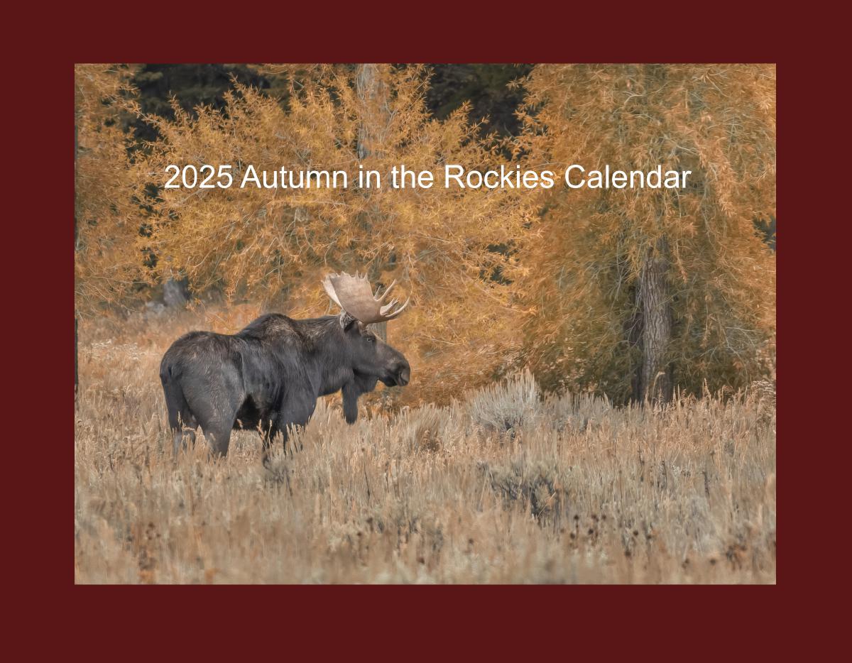 2024 Autumn in the Rockies Wall Calendar