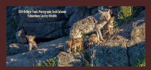 2024 Yellowstone Country Wildlife DESK Calendar