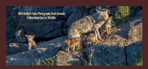 2024 Yellowstone Country Wildlife DESK Calendar