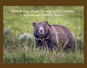2023 Yellowstone Country Bears Calendar