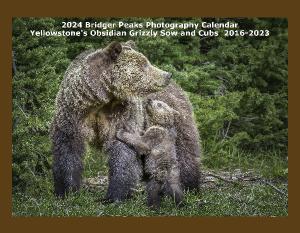 2023 Yellowstone's Obsidian Sow and Cub 2016-2022