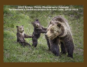 2024 Yellowstone's Obsidian Sow and Cub 2016-2022