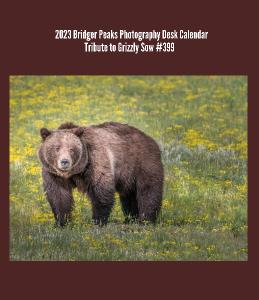 NEW !Grizzly #399 and Quad Cubs CD Case Calendar