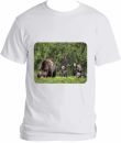 NEW ! Grizzly 399 and Quad cubs T Shirt