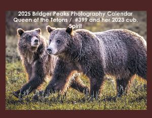 2024 Tribute to GTNP Grizzly Bear Sow #399