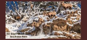 2023 Rocky Mountain Wildlife Desk Calendar