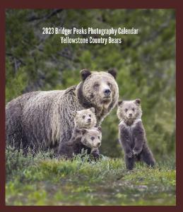 Yellowstone Bears CD case Desk Calendar