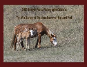 2024 Wild Horses of the North Dakota Badlands