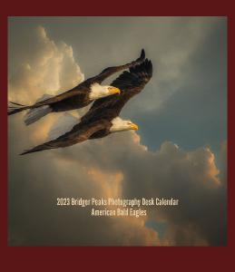 American Bald Eagles CD Case Calendar