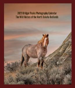 Wild Horses of ND Badlands CD Case Desk Calendar