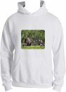 Grizzy Bear Sow and Quad Cubs Hoodie