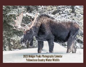 Yellowstone Country Winter Wildlife