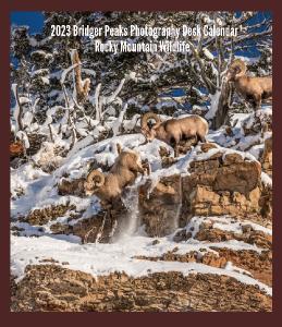 Rocky Mountain Wildlife CD Case Calendar