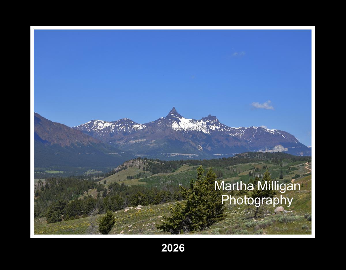 Scenic and Wildlife 2026