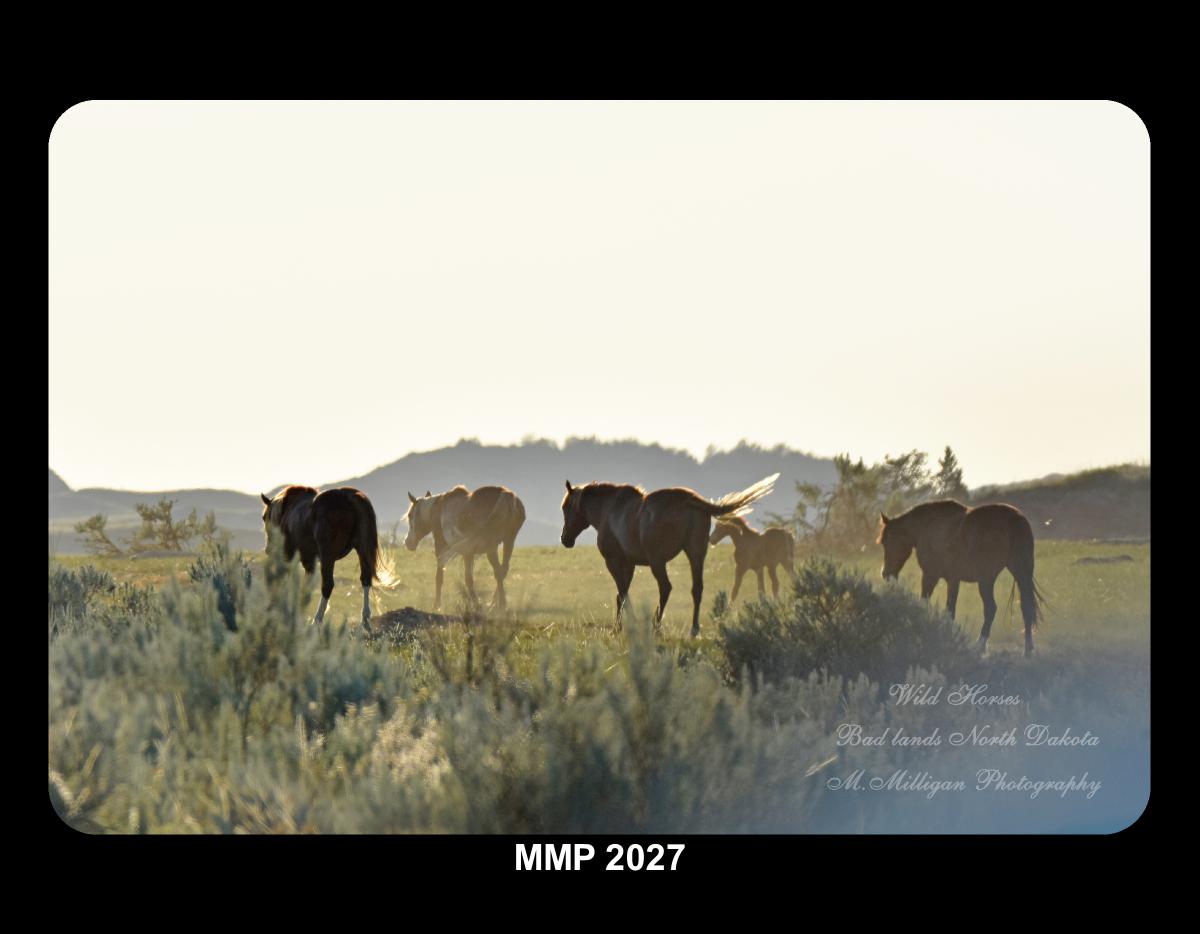 MMP 2027