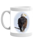 Eagle cups