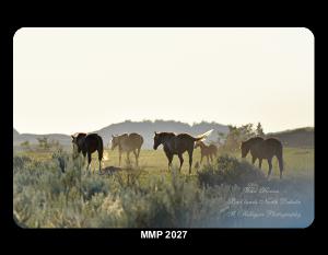 MMP 2027