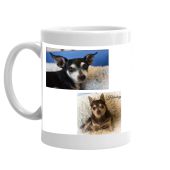 HWAH Chihuahuas