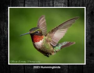 2022 Hummingbird Wall Calendar