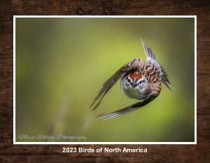 2023 Birds of North America Wall Calendar