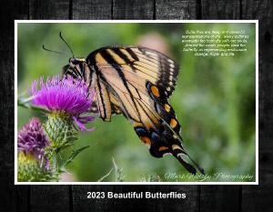 2023 Beautiful Butterflies Wall Calendar
