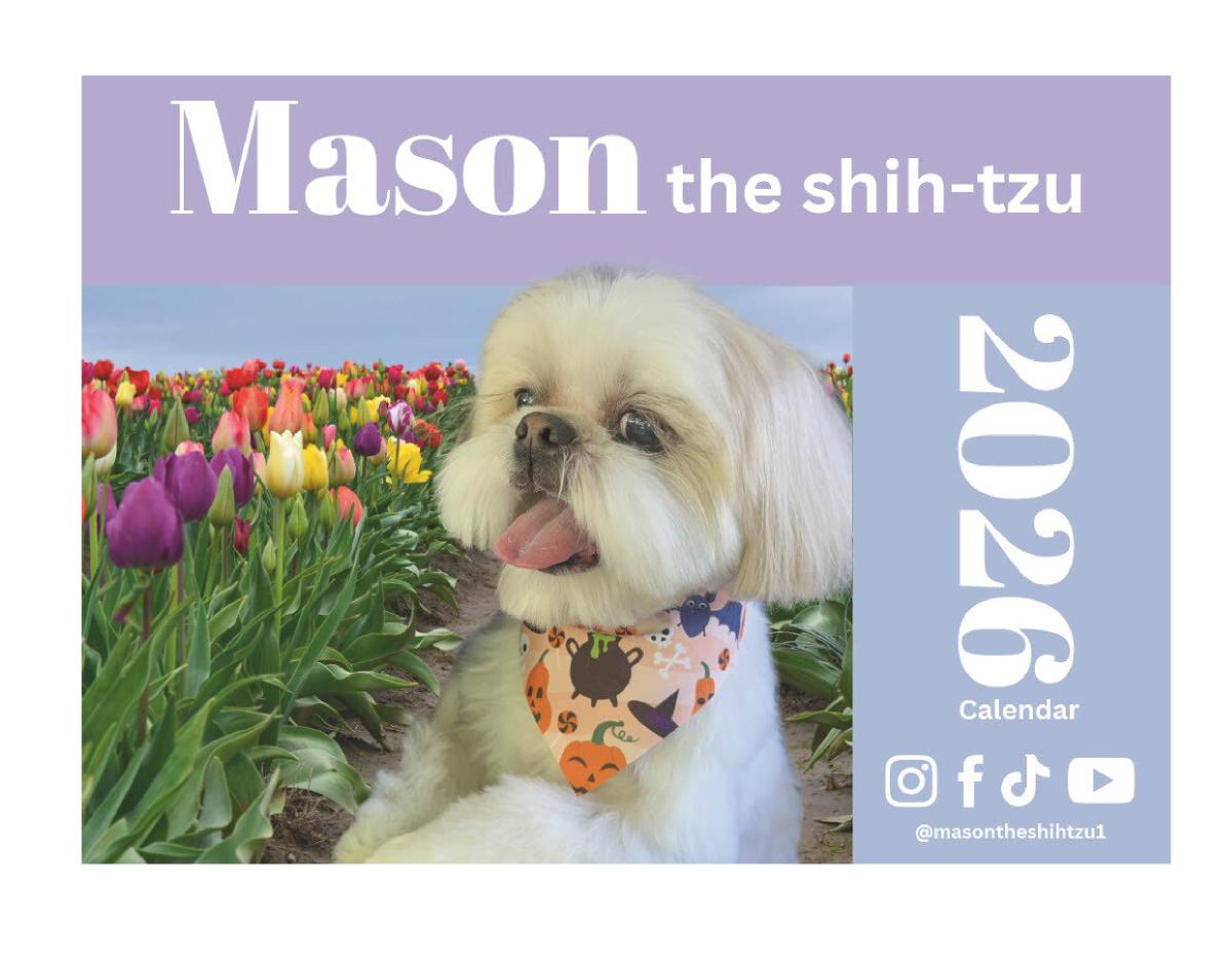Mason the Shih Tzu 2026 Calendar