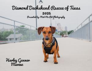 DDRTX 2025 Calendar