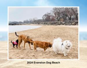 2024 Evanston Dog Beach