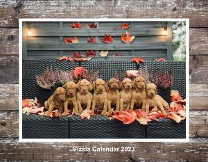Vizsla Calendar 2023