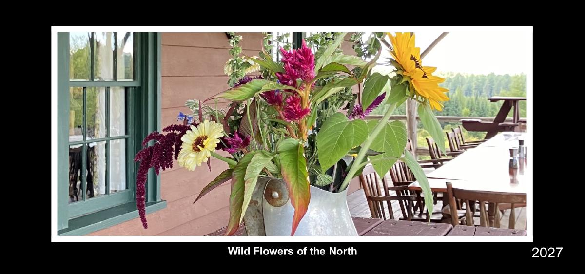 wild flowers of the north desk 2027