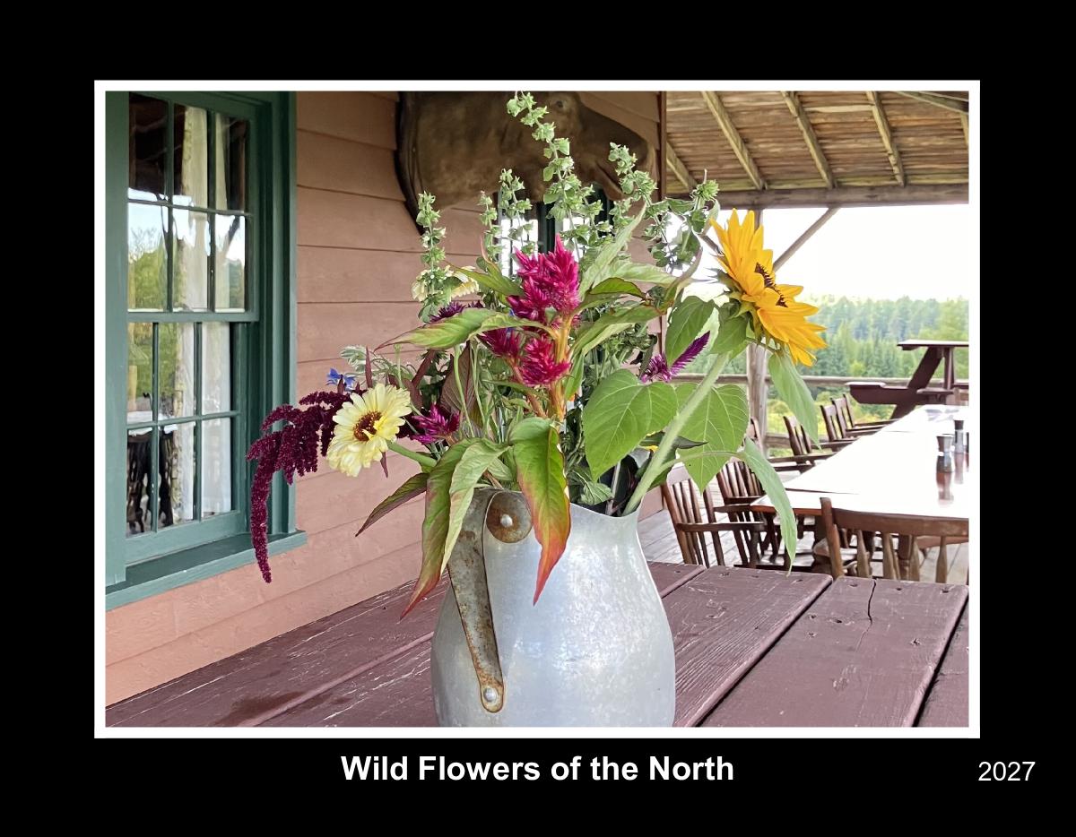 Wild Flowers of  the North 2027