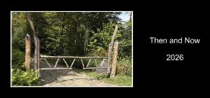 then and now desk calendar 2026