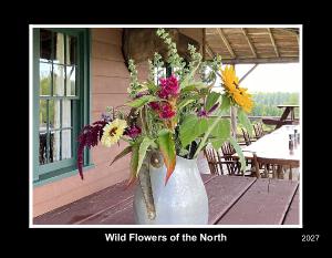Wild Flowers of  the North 2027