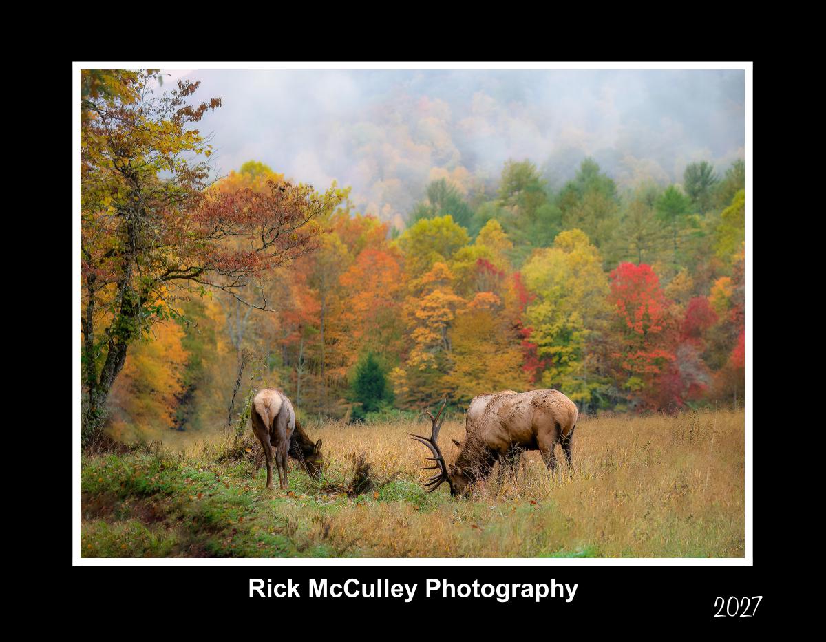 Great Smoky Mountains
