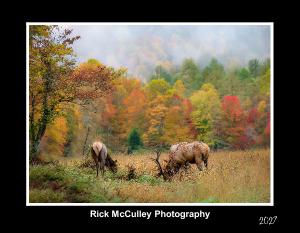 Great Smoky Mountains